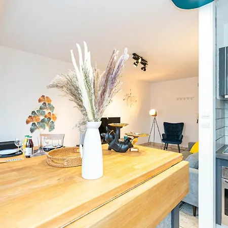 * * Le Duplex Des Cigognes * * Hoenheim