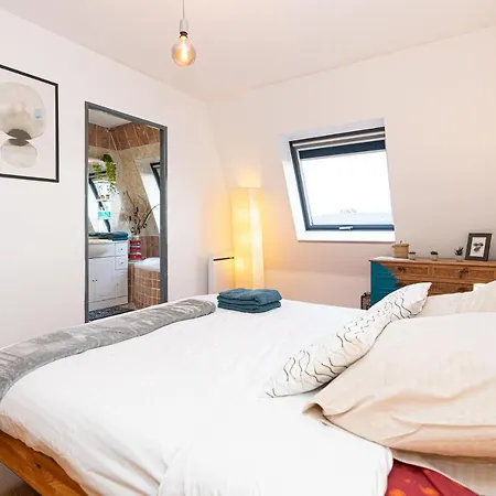 * * Le Duplex Des Cigognes * * Hoenheim