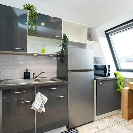 * * Le Duplex Des Cigognes * * Apartament